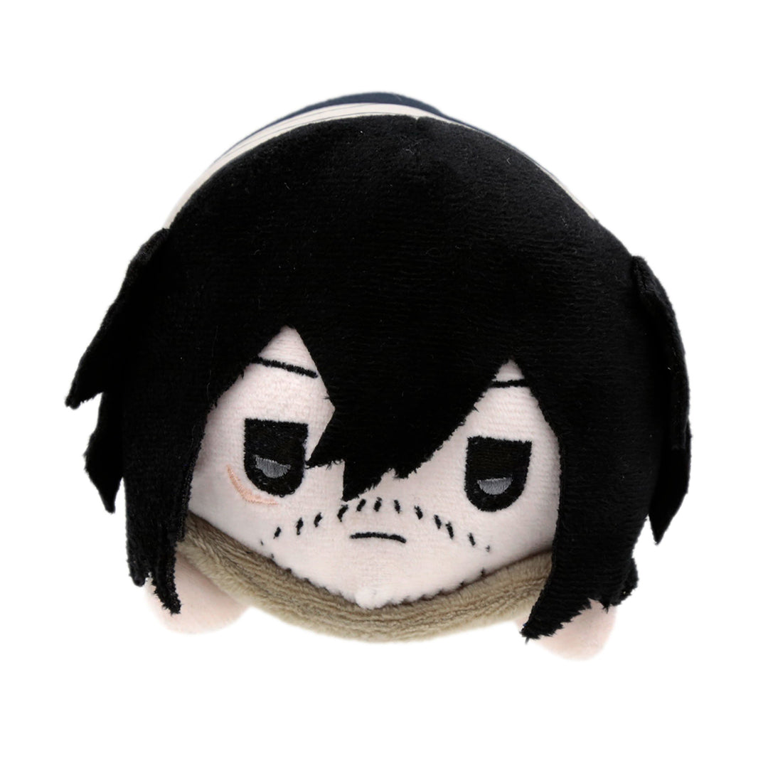 Mr aizawa plush shop