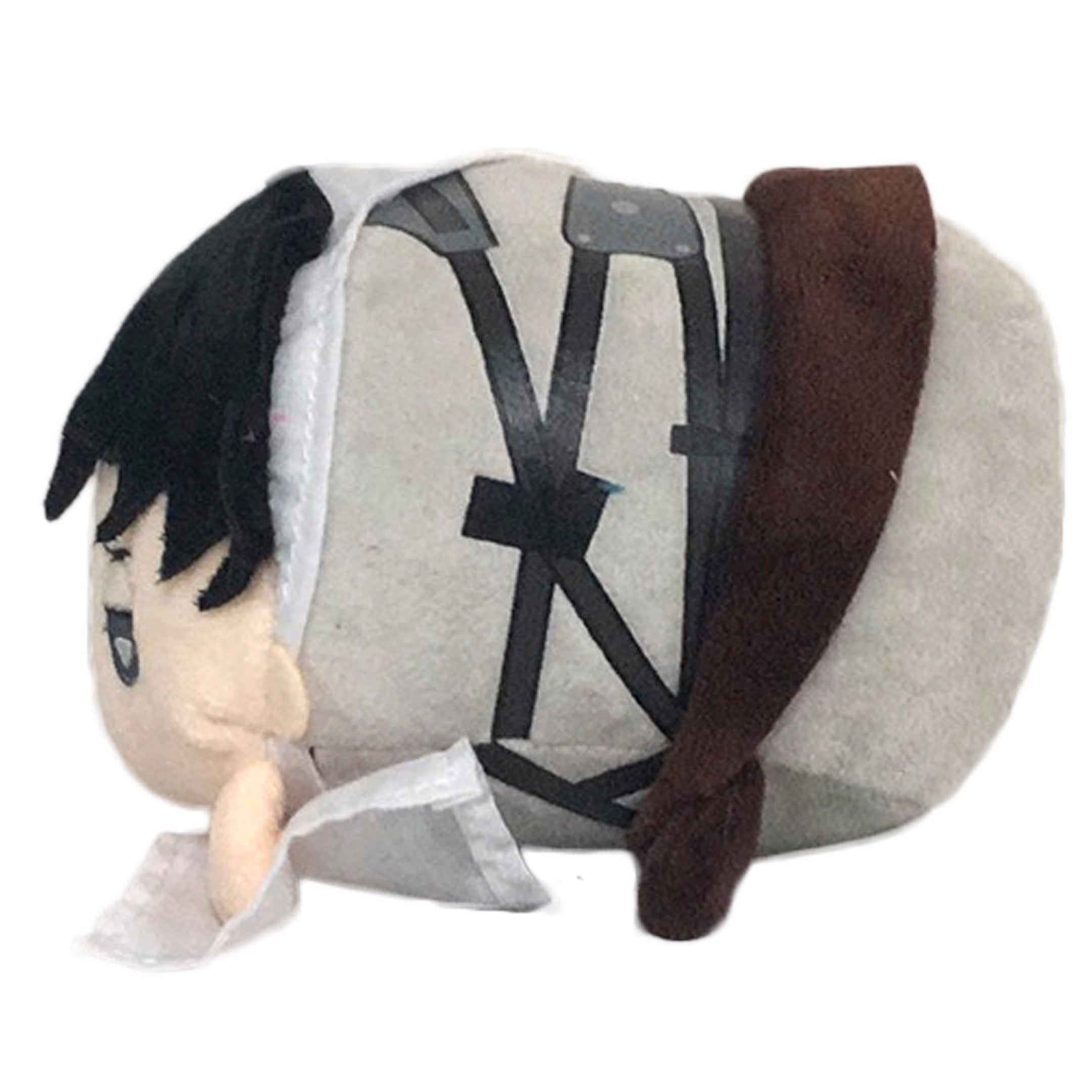 Cleaning Levi