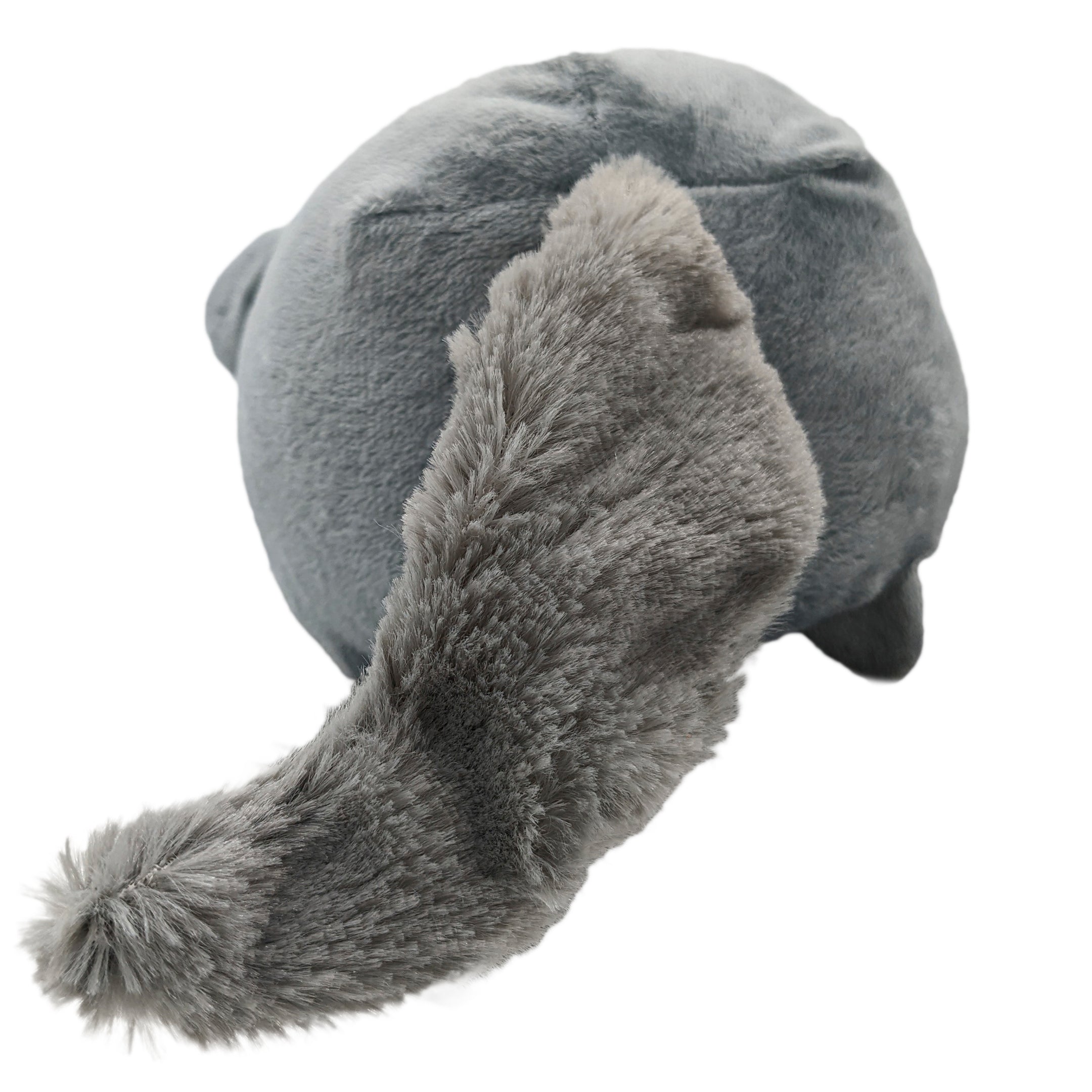 Shigure Soma Dog